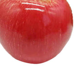 Artificial Fruit Simulation Model Foam Fake Fruit Kindergarten Teaching Aids Decorative Props Pink Apple In Australia - Darrahopens