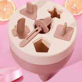 Popsicles Mold 6 Cavities Detachable Design Safe Healthy Material Durable PP Mini Popsicle Mold Pink