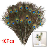 10PCS Natural Peacock Feather for House DIY Craft Holiday Wedding Decorations In Australia - Darrahopens