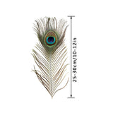 10PCS Natural Peacock Feather for House DIY Craft Holiday Wedding Decorations In Australia - Darrahopens
