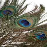 10PCS Natural Peacock Feather for House DIY Craft Holiday Wedding Decorations In Australia - Darrahopens