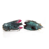 Aquarium Shipwreck Decorations Set Resin Ship Fish Tank Ornaments for Aquarium Environments Decor Accessories