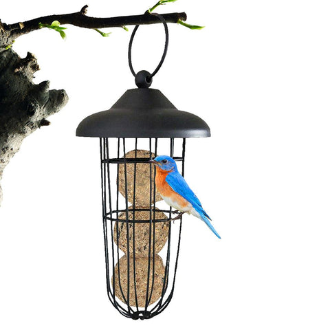 Outdoor Bird Feeder Hanging Fat Ball Holder Metal Bird Feeder Bird Food Dispenser In Australia - Darrahopens