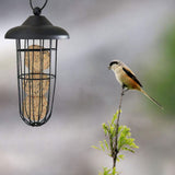 Outdoor Bird Feeder Hanging Fat Ball Holder Metal Bird Feeder Bird Food Dispenser In Australia - Darrahopens