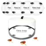 5 Pcs Flea Trap Stickers Round Sticky Fly Traps Dome Flea Trap Refill for Home Bedroom Pet House In Australia - Darrahopens