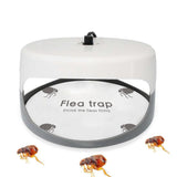 5 Pcs Flea Trap Stickers Round Sticky Fly Traps Dome Flea Trap Refill for Home Bedroom Pet House In Australia - Darrahopens