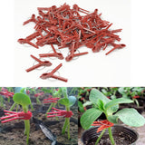 100PCS Plants Graft Clips Plastic Grafting Clips Practical Garden Plant Clips In Australia - Darrahopens