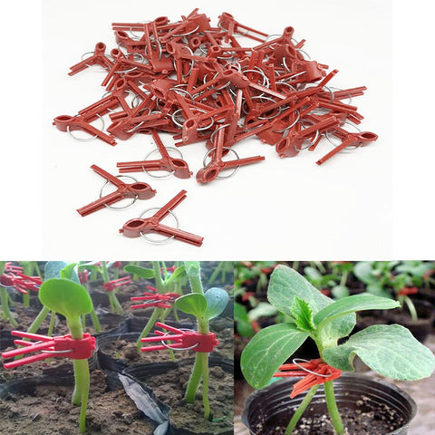 100PCS Plants Graft Clips Plastic Grafting Clips Practical Garden Plant Clips In Australia - Darrahopens