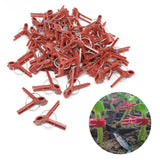 100PCS Plants Graft Clips Plastic Grafting Clips Practical Garden Plant Clips In Australia - Darrahopens