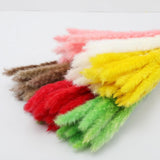 Small Dried Pampas Grass Phragmites Decoration Natural Small Pampas Grass Dried Flower Decoration Photography Props for Hotel Wedding