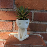 Luminous Face Planter Pot Head Flower Pot Cute Resin Succulent Planter Flowerpot with Drain Hole for House Office Decor In Australia - Darrahopens