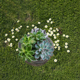 Rabbit Flower Pot Succulent Planter Garden Pots Bunny Decorative Flower Pot Animal Shaped Planter Pots Art Decorations