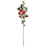 American Artificial Pomegranate Fruit Simulation Flowers Fake Fruits for Home Hotel Decoration In Australia - Darrahopens