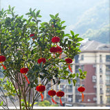 Lanterns Round Small Handcrafted Lantern Decoration for Tent RV Courtyard Terrace Red
