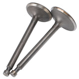 Intake Exhaust Valves Motor Replacement Part Accessory Fit for 188F/GX390 Generator