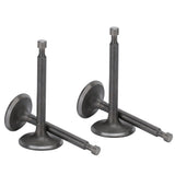 2 Set Intake Exhaust Valve Kit 170F/GX210 Cylinder Head 2.5kw‑3kw Gasoline Generator Parts