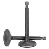 2 Set Intake Exhaust Valve Kit 170F/GX210 Cylinder Head 2.5kw‑3kw Gasoline Generator Parts