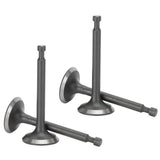 2 Set Intake Exhaust Valve Kit 168F Cylinder Head GX160/GX200 2-2.5kw Gasoline Generator Parts In Australia - Darrahopens