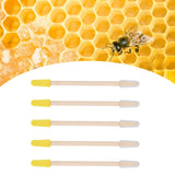 25PCS Beekeeping Double‑Headed Bamboo Plastic Picking Pen Bee Milk Pulp Taking Apiculture Tools In Australia - Darrahopens