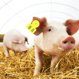 No.001‑100 Farm Pig Ear Tag Livestock Ear Tag Labels Set Poultry Breeding Supplies