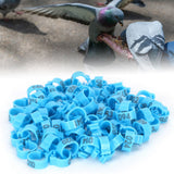 001‑100 Numbered Bird Leg Bands 8mm Poultry Identify Rings Accessory for Birds PigeonsBlue In Australia - Darrahopens