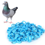 001‑100 Numbered Bird Leg Bands 8mm Poultry Identify Rings Accessory for Birds PigeonsBlue In Australia - Darrahopens