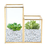 Glass Storage Container Garden Polygonal Column Golden Brass Bar Welding Flower Room Box