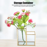 Glass Storage Container Garden Polygonal Column Golden Brass Bar Welding Flower Room Box