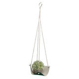 Plant Hanger Indoor Wall Hanging Flower Pot Holder Garden Courtyard Wall DecorationGreen 20cm