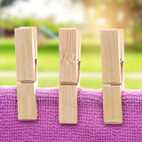 20Pcs Clothes Peg Bamboo Clothespins with Spring Windproof Clothes Clips for Outdoor Balcony In Australia - Darrahopens