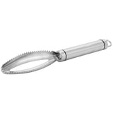Fish Scaler Stainless Steel Fish Scraper Fish Scale Remover Scraping Removing Tool Kitchen Tool In Australia - Darrahopens