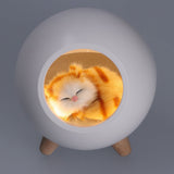 LED Night Light USB Charging Cute Pet House Touch Dimming Kid Baby Bedside Decoration Gift Lamp