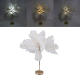 Feather Table Lamp Touch Switch USB Ostrich Feather Lamp 3 Color Dimming Desk Lamp with Gold Metal Base 30pcs Feather