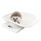 Digital Pet Scale Kitchen Scale Multi Function LCD Electronic Scale 10kg Weight Scale Pet Supplies In Australia - Darrahopens