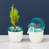 Automatic Self Watering Flower Pot Double Layer Design Planter for Office Home Gardening In Australia - Darrahopens