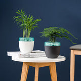 Automatic Self Watering Flower Pot Double Layer Design Planter for Office Home Gardening In Australia - Darrahopens