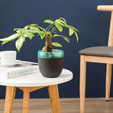 Automatic Self Watering Flower Pot Double Layer Design Planter for Office Home Gardening In Australia - Darrahopens