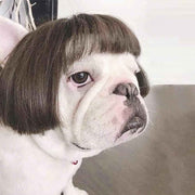 Dog Wig Pet Costumes Pet Headwear Hair Costumes for Festival Cosplay Party In Australia - Darrahopens