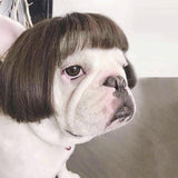 Dog Wig Pet Costumes Pet Headwear Hair Costumes for Festival Cosplay Party In Australia - Darrahopens