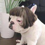 Dog Wig Pet Costumes Pet Headwear Hair Costumes for Festival Cosplay Party In Australia - Darrahopens