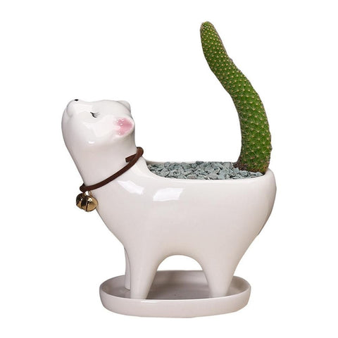 Kitten Ceramic Succulent Pots with Drain Hole Mini Pots for Plants Cactus Plants Containers for Home and Office Decoration In Australia - Darrahopens