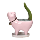 Kitten Ceramic Succulent Pots with Drain Hole Mini Pots for Plants Cactus Plants Containers for Home and Office Decoration In Australia - Darrahopens