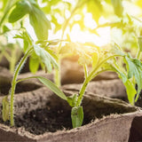 Plant Starter Peat Pots with Labels Flower Vegetable Seedlings Nursery Cup Paper Planter Pot Garden Supplies In Australia - Darrahopens