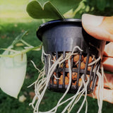 12 Pcs Hydroponics Pots with 10 Pcs Plant Labels Hydroponics Mesh Pot Black Growing Net for Hydroponics Supplies