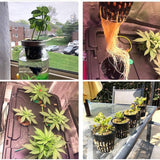 12 Pcs Hydroponics Pots with 10 Pcs Plant Labels Hydroponics Mesh Pot Black Growing Net for Hydroponics Supplies