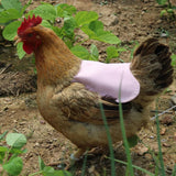 Canvas Chicken Apron Hen Saddle Vest Hen Duck Wing Protection Chicken Jackets Hen Aprons Poultry Care Accessories In Australia - Darrahopens