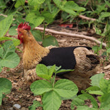 Canvas Chicken Apron Hen Saddle Vest Hen Duck Wing Protection Chicken Jackets Hen Aprons Poultry Care Accessories In Australia - Darrahopens