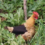 Canvas Chicken Apron Hen Saddle Vest Hen Duck Wing Protection Chicken Jackets Hen Aprons Poultry Care Accessories In Australia - Darrahopens