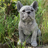 Garden Dog Statue Ornament Realistic Resin Animal Sculpture for Outdoor Decoration Dog Lover Gift In Australia - Darrahopens