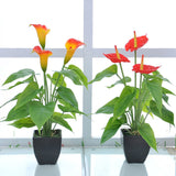Artificial Flower Living Room Decorative Flowers Plastic Flowers Simulation Potted Plant Ornaments Fake Flower